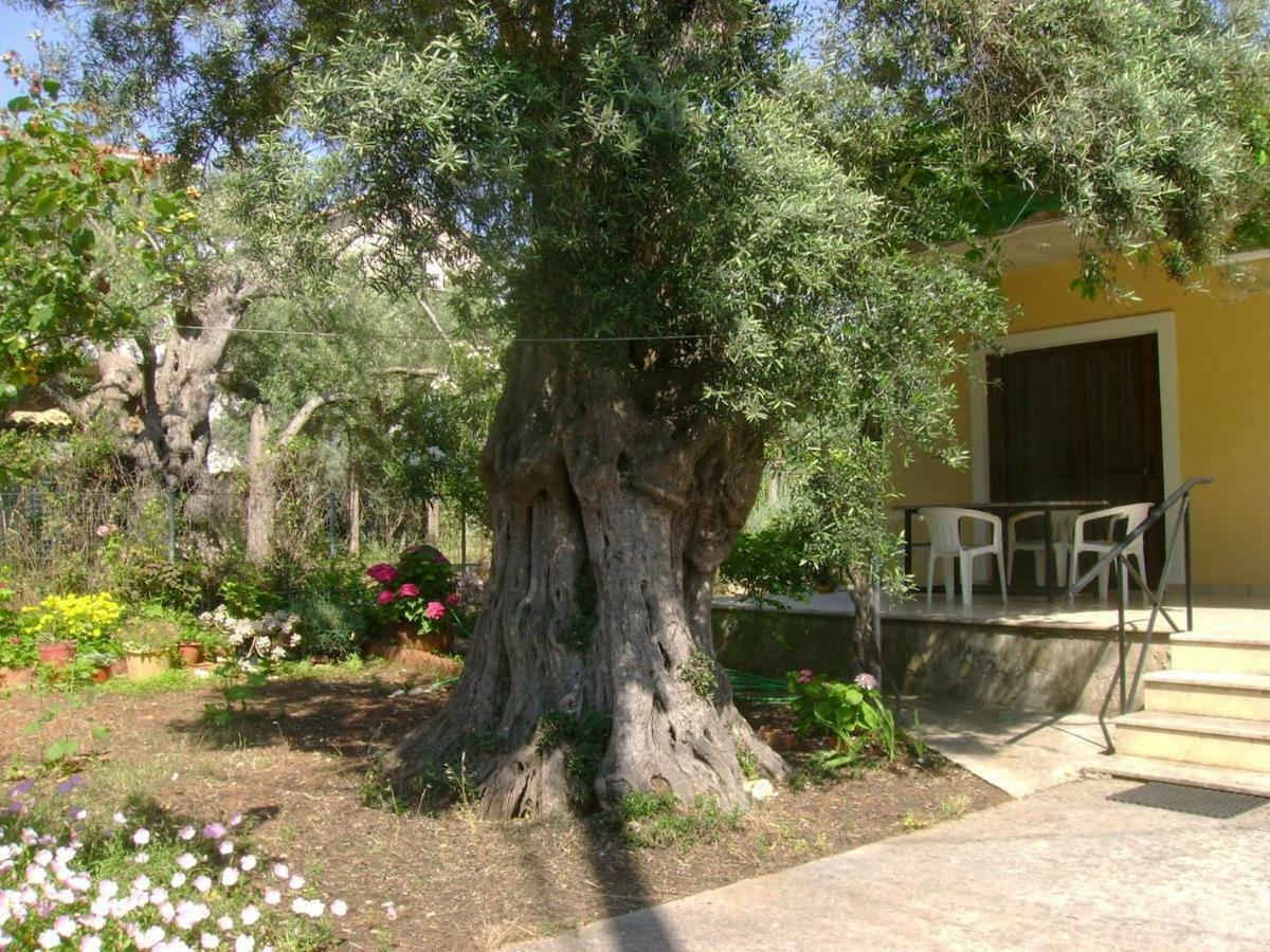 Lefkas House With Garden Villa Tsoukaládhes Dış mekan fotoğraf